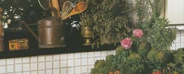 Κρεμαστοί κήποι στην κουζίνα σας 