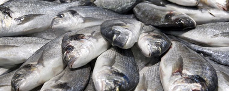 Μύθοι και αλήθειες για τα ψάρια ιχθυοκαλλιέργειας